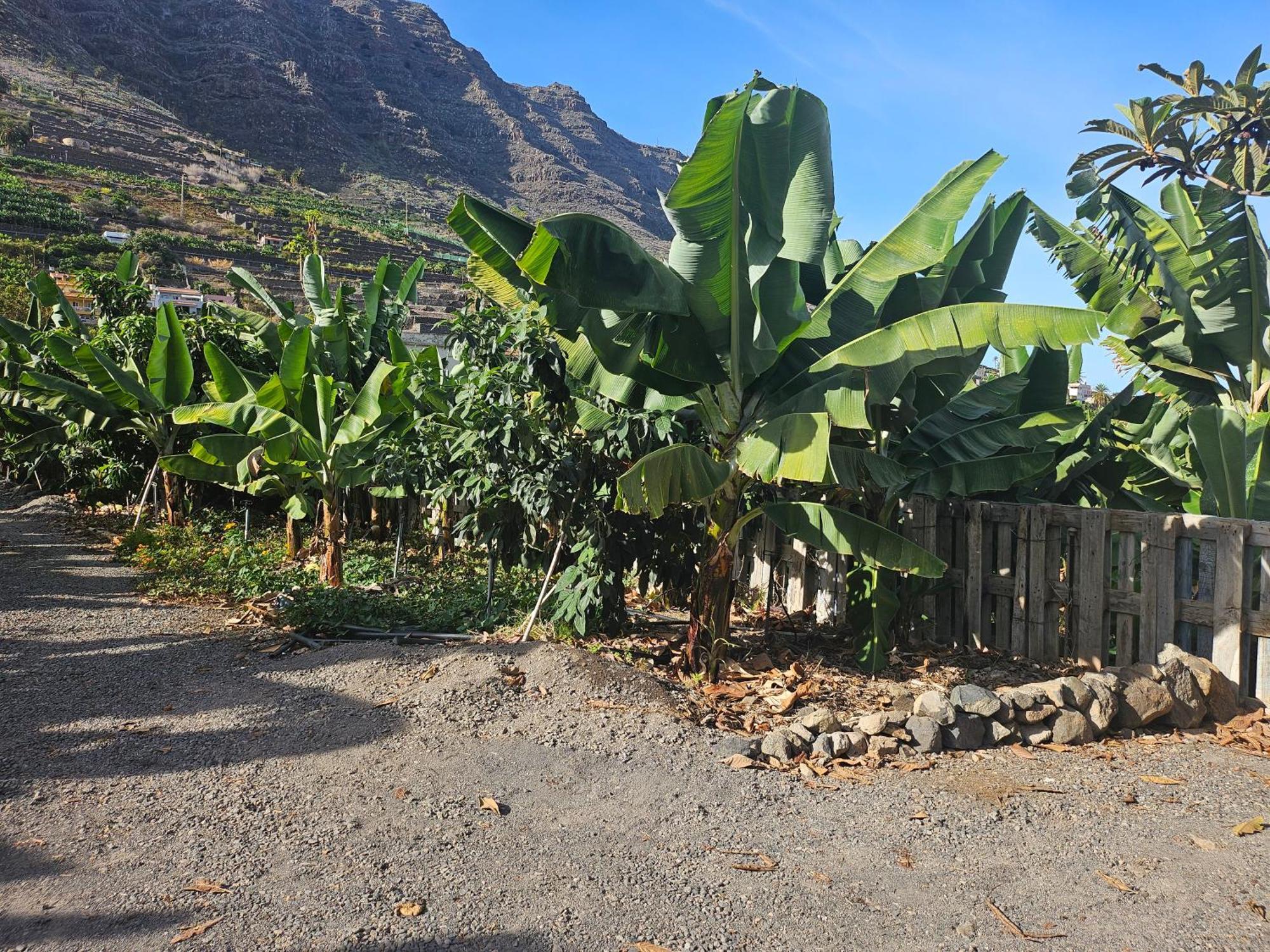 הוילה הרמיגואה Casa Erika מראה חיצוני תמונה