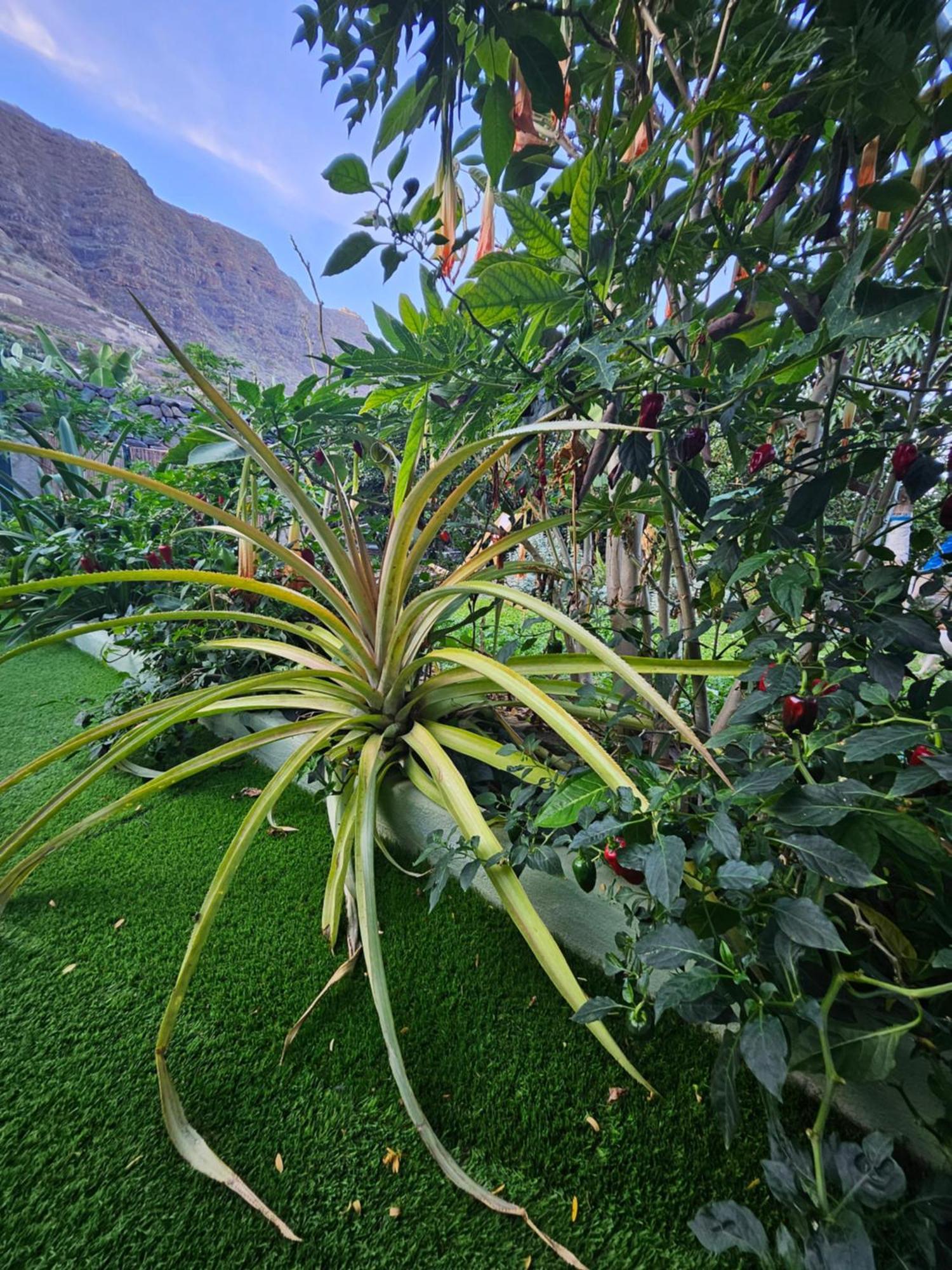 הוילה הרמיגואה Casa Erika מראה חיצוני תמונה